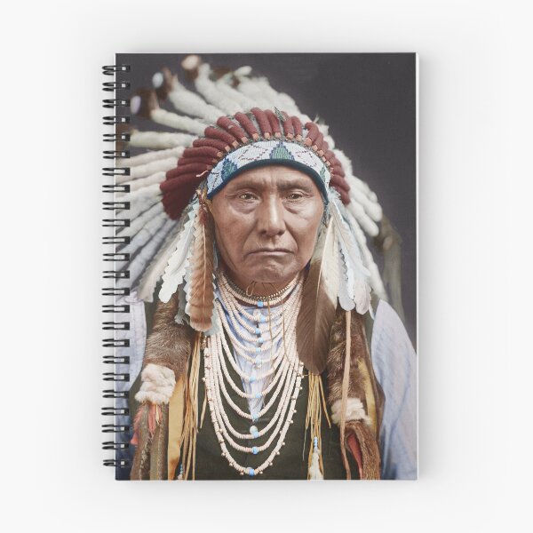 Artikelvorschau, Chef Joseph - Nez Perce, 1840 - 1904 entworfen und verkauft von Gary sheaf.