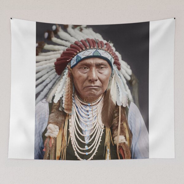 Item preview, Chief Joseph - Nez Perce, 1840 – 1904 designed and sold by Gary sheaf.