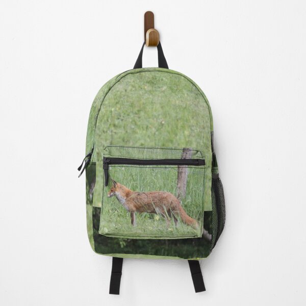 Item preview, Female cautious fox in the meadow	 designed and sold by EstelleRossetti.