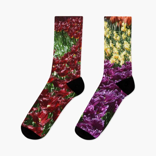Artikelvorschau, Tulips entworfen und verkauft von Linnys-Designs.