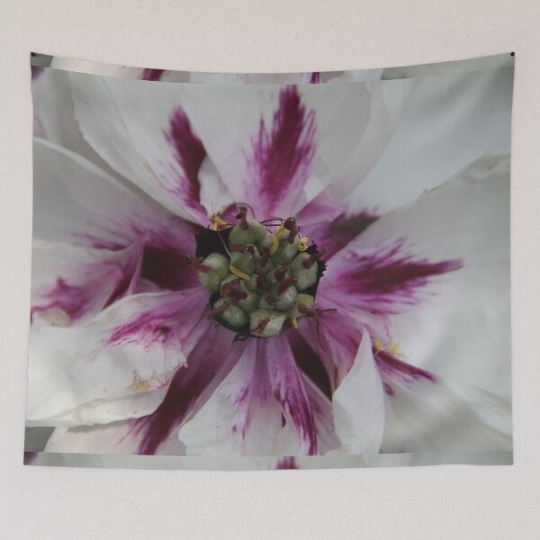 Item preview, Pastel pink peony open flower  designed and sold by EstelleRossetti.