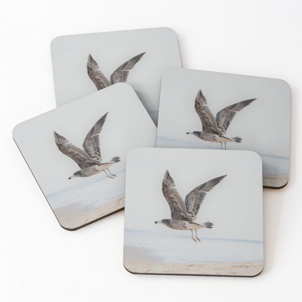 Item preview, Juvenile Pacific Gull in Flight designed and sold by imaginethis.