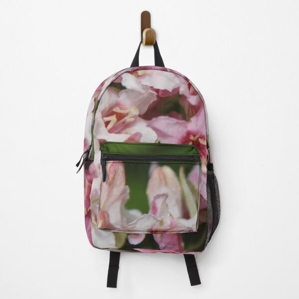 Item preview, Variegated perennial weigelia tree in pink flowers designed and sold by EstelleRossetti.