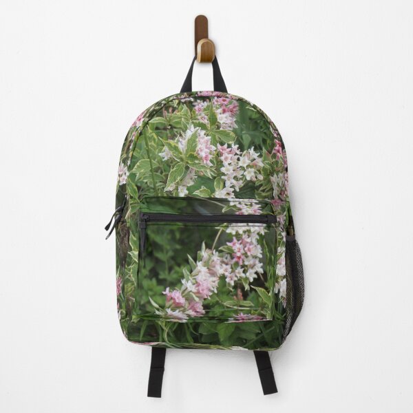 Item preview, Variegated perennial weigelia tree in pink flowers designed and sold by EstelleRossetti.