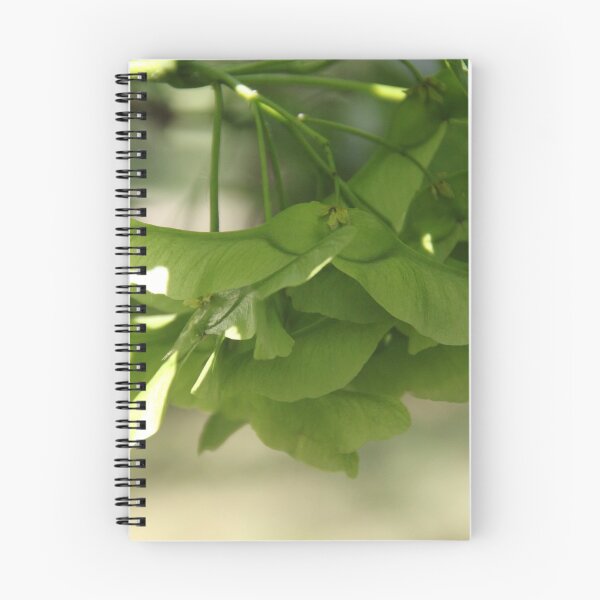Item preview, Acer tree spring leaves and flower blossom bud	 designed and sold by EstelleRossetti.