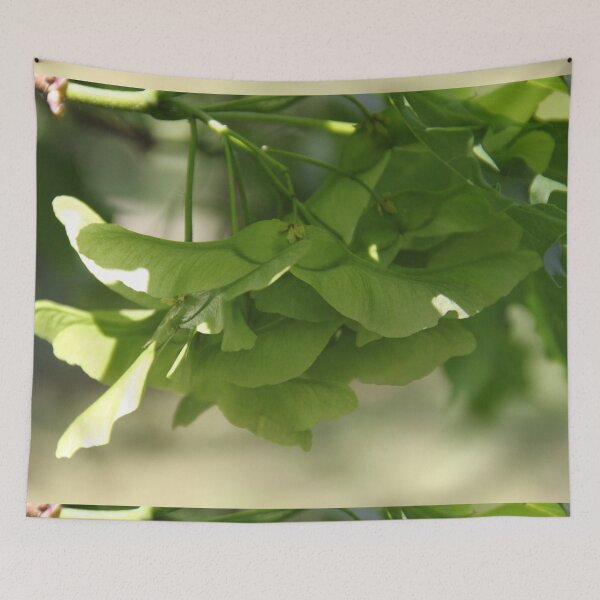 Item preview, Acer tree spring leaves and flower blossom bud	 designed and sold by EstelleRossetti.