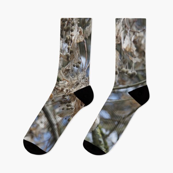Item preview, Tilia medicinal comestible tree dry branch during springtime	 designed and sold by EstelleRossetti.