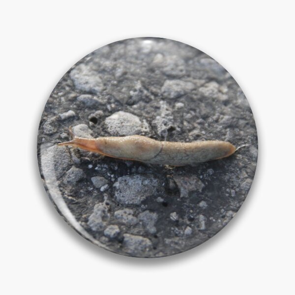 Item preview, Humid slobbery slug crossing a road bitumen	 designed and sold by EstelleRossetti.