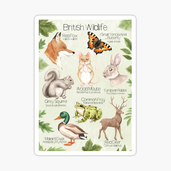British Wildlife Sticker