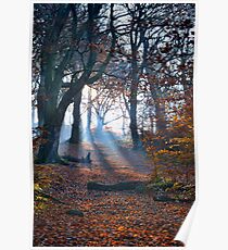 Chevin Forest Park #2 Poster
