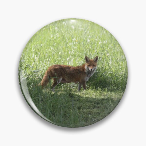 Item preview, Female cautious fox in the meadow	 designed and sold by EstelleRossetti.