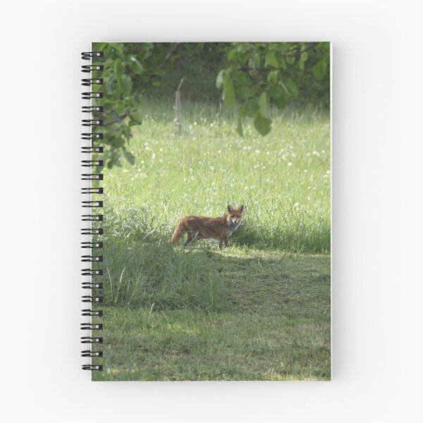 Item preview, Female cautious fox in the meadow	 designed and sold by EstelleRossetti.