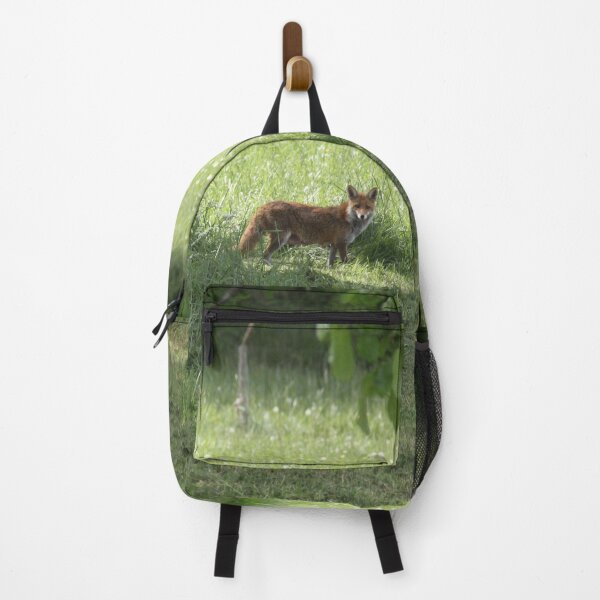 Item preview, Female cautious fox in the meadow	 designed and sold by EstelleRossetti.