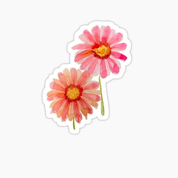 Gerbera Diasies Sticker