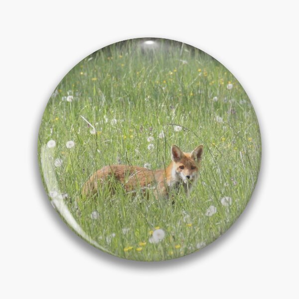 Item preview, Female cautious fox in the meadow	 designed and sold by EstelleRossetti.