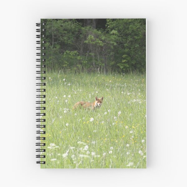 Item preview, Female cautious fox in the meadow	 designed and sold by EstelleRossetti.