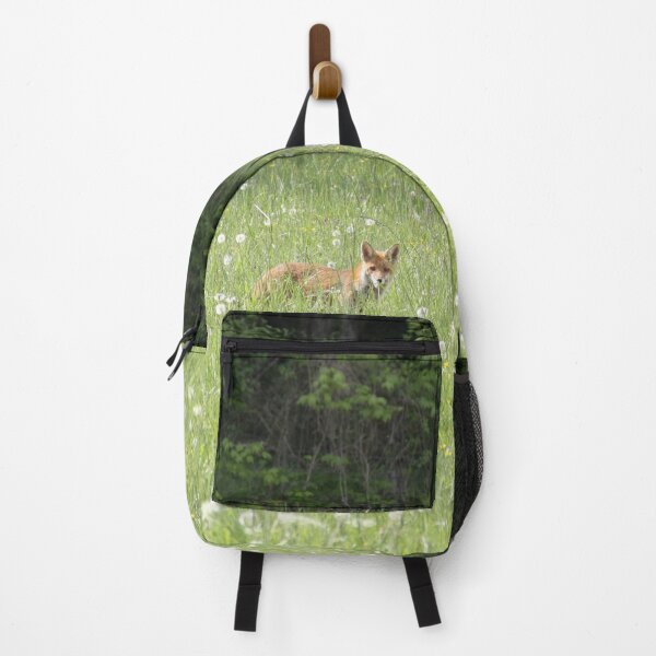 Item preview, Female cautious fox in the meadow	 designed and sold by EstelleRossetti.