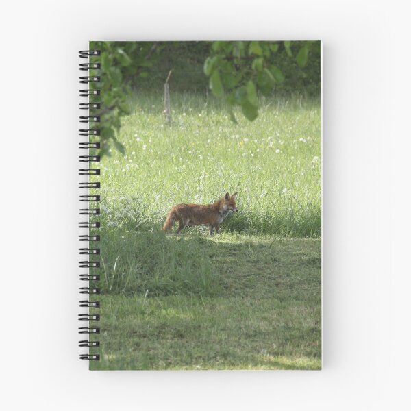 Item preview, Female cautious fox in the meadow	 designed and sold by EstelleRossetti.