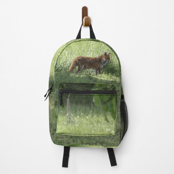 Item preview, Female cautious fox in the meadow	 designed and sold by EstelleRossetti.