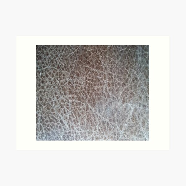 Meander 1 Art Print