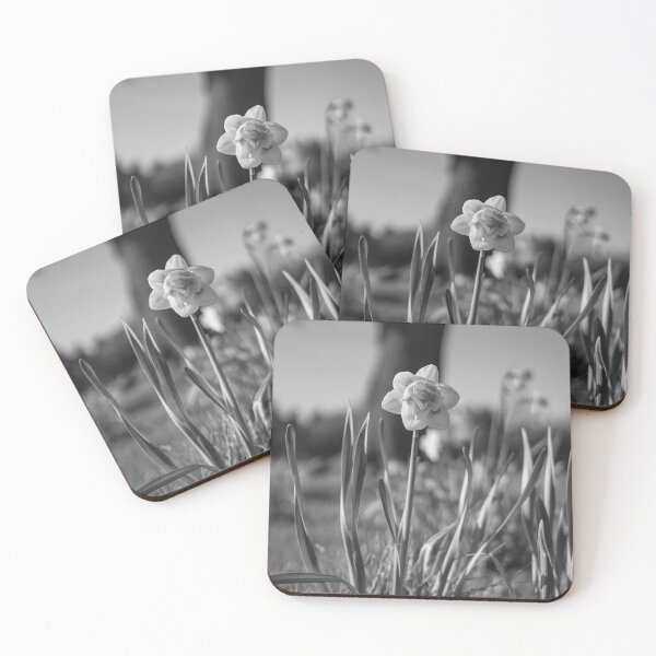 Item preview, Dafodil designed and sold by Jay Mayne.
