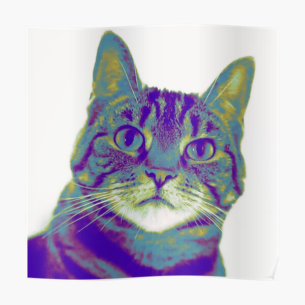 Cat Pop Art Poster