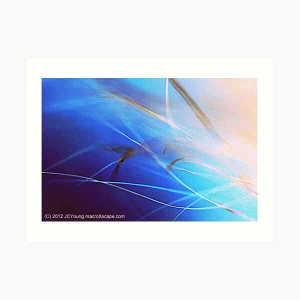 Floating in Blue Art Print