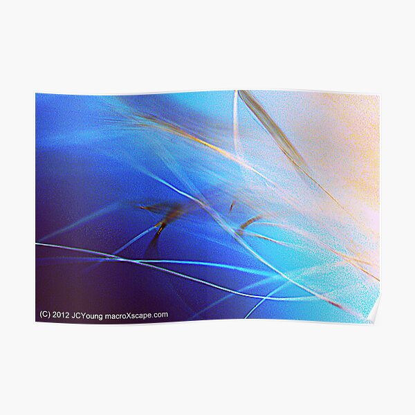 Floating in Blue Poster