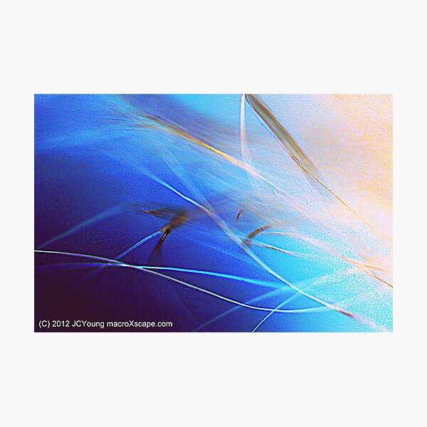 Floating in Blue Photographic Print