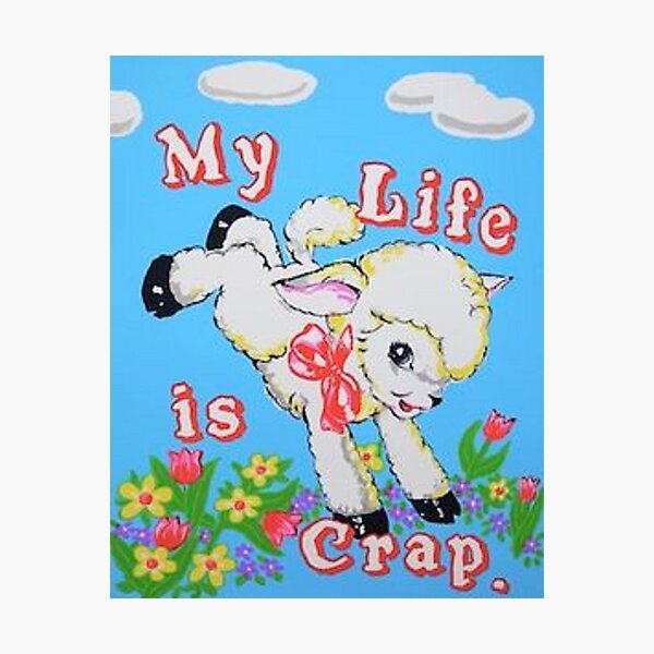 my life is crap baby sheep Photographic Print