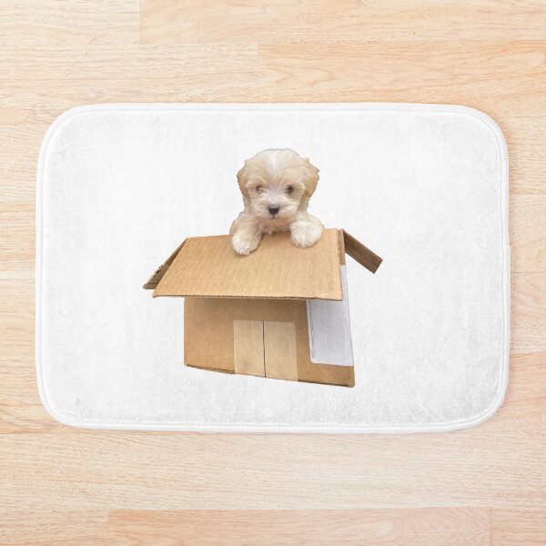 Cute Maltipoo Puppy in a Box Bath Mat
