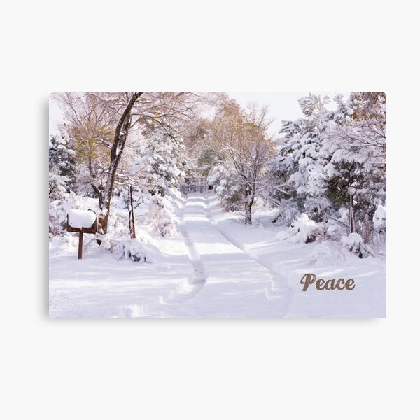 Peaceful Wonderland Canvas Print