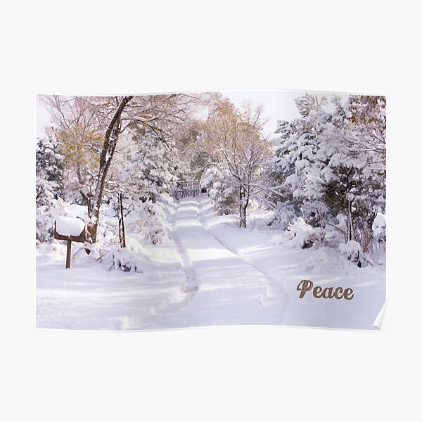 Peaceful Wonderland Poster