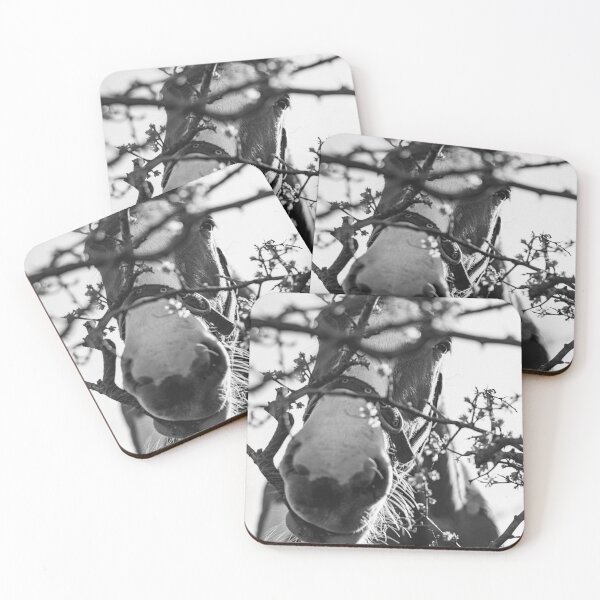 Item preview, Horsing around designed and sold by Jay Mayne.