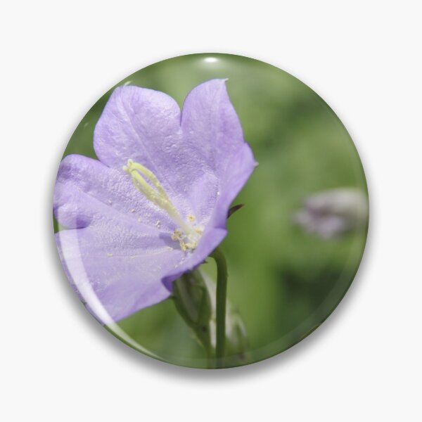 Item preview, Purple violet Campanula open spring wild flower	 designed and sold by EstelleRossetti.