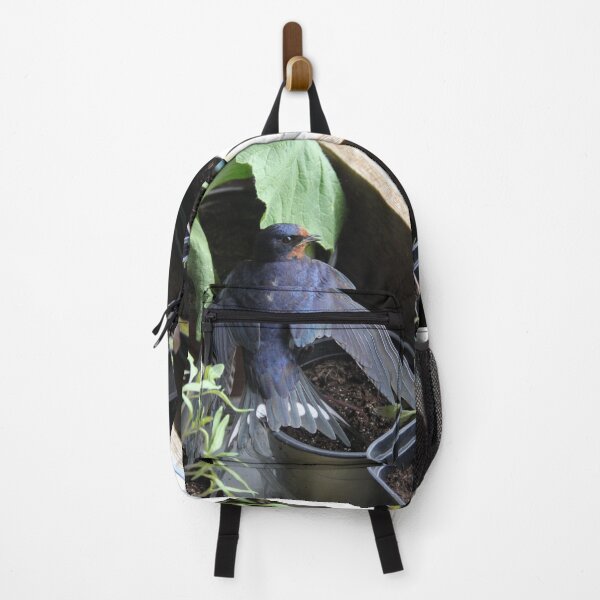 Item preview, Swallow bird in a house during springtime	 designed and sold by EstelleRossetti.