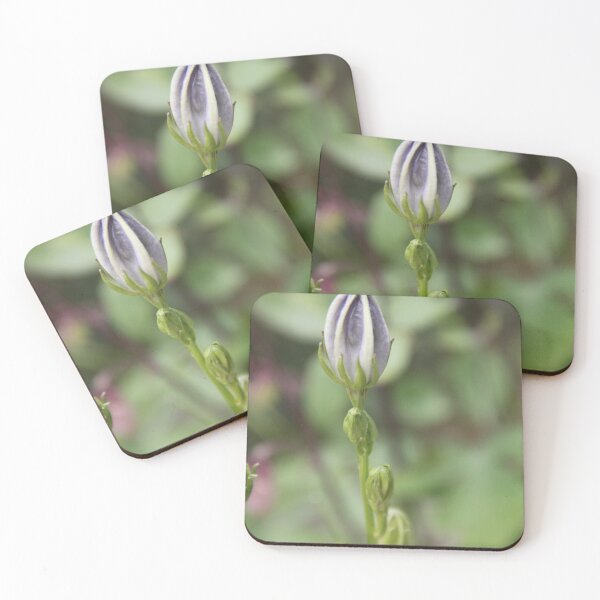 Item preview, Purple violet Campanula open spring wild flower	 designed and sold by EstelleRossetti.