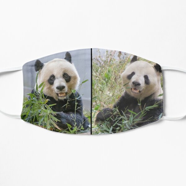 MASQUE POUR BOUCHE ADULTE PANDA