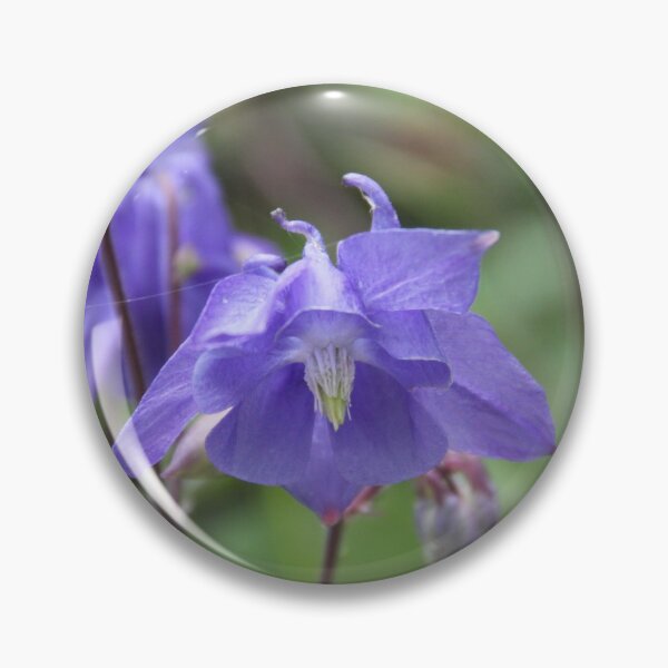 Item preview, Colorful pastel columbine granny's bonnet spring wildflowers	 designed and sold by EstelleRossetti.