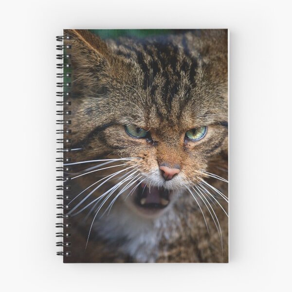 Item preview, Scottish Wildcat, less than 400 remain... designed and sold by Stuart Robertson Reynolds.