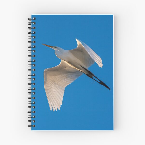 Item preview,  alas blancas. designed and sold by Stretch Clendennen.