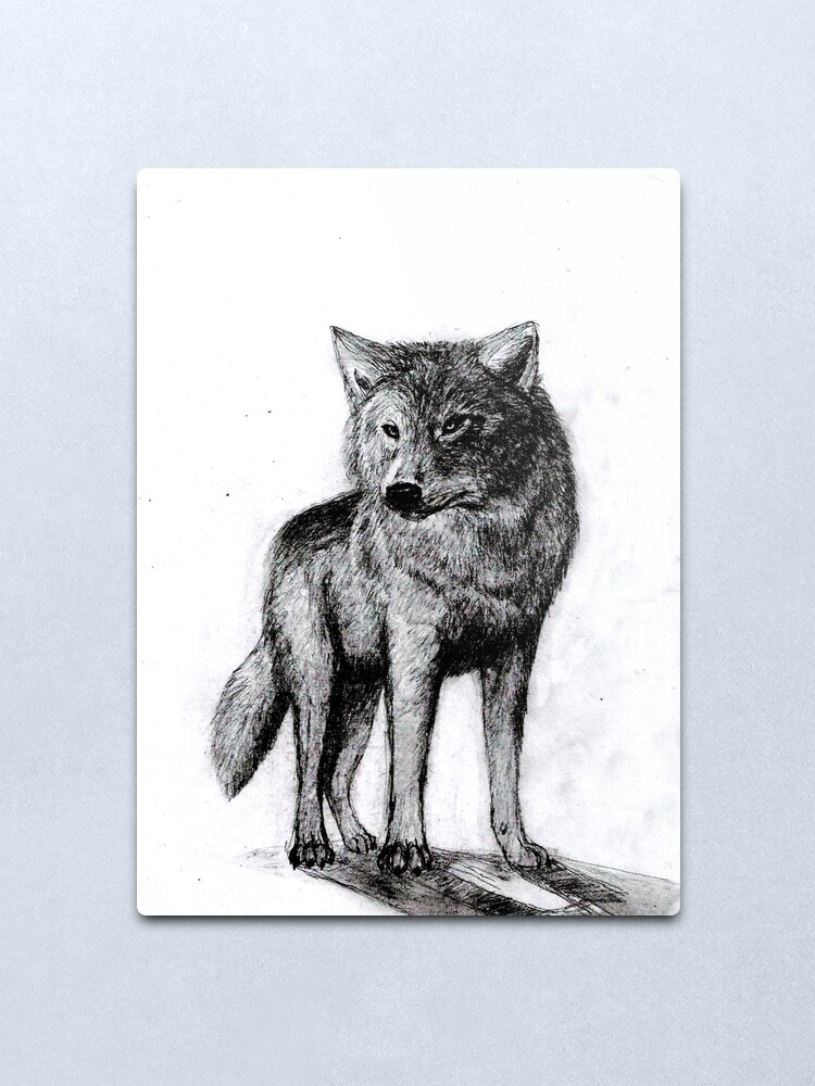 Impression Metallique Loup Realiste Par Rhashid Redbubble