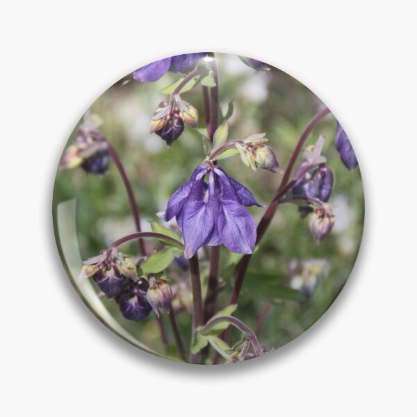 Item preview, Colorful pastel columbine granny's bonnet spring wildflowers	 designed and sold by EstelleRossetti.