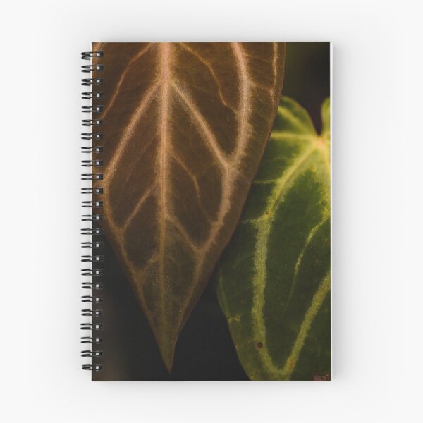 Item preview, Photograph of Anthurium crystallinum designed and sold by Alexander James Thomas.