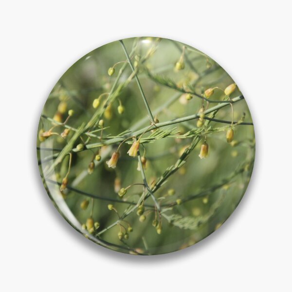 Item preview, Spontaneous asparagus vegetable in bloom	 designed and sold by EstelleRossetti.