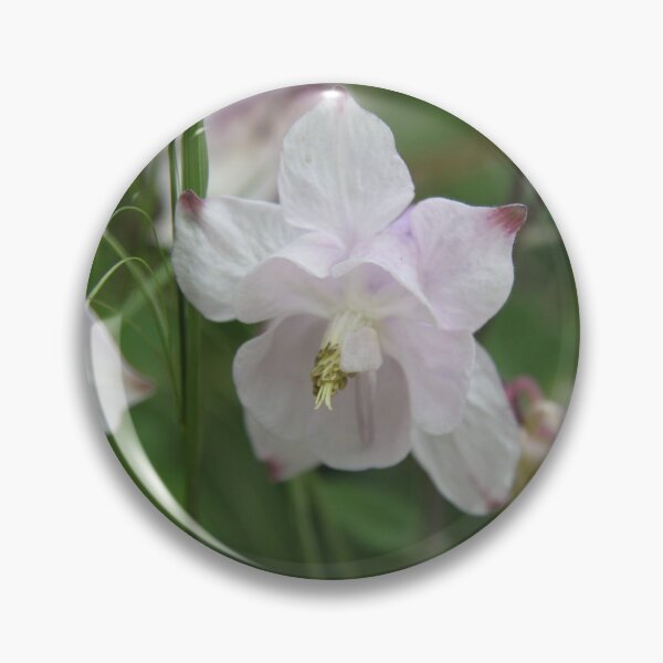 Item preview, Colorful pastel columbine granny's bonnet spring wildflowers	 designed and sold by EstelleRossetti.