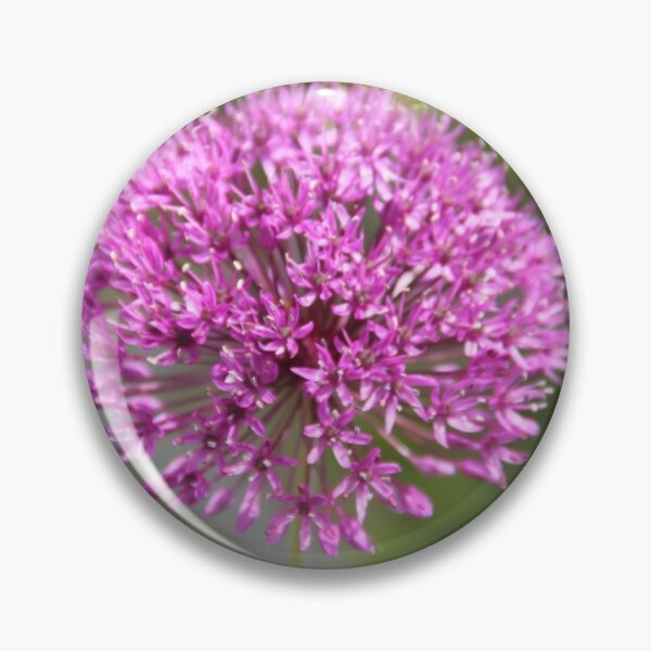 Item preview, Allium pink opening flower head bud	 designed and sold by EstelleRossetti.