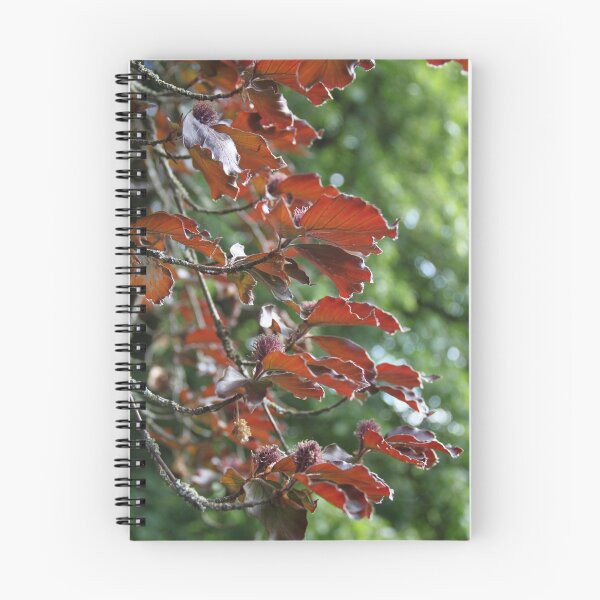 Item preview, Purple common beech tree spring branches buds	 designed and sold by EstelleRossetti.