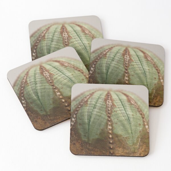 Item preview, Macro Photograph of Euphorbia obesa designed and sold by Alexander James Thomas.
