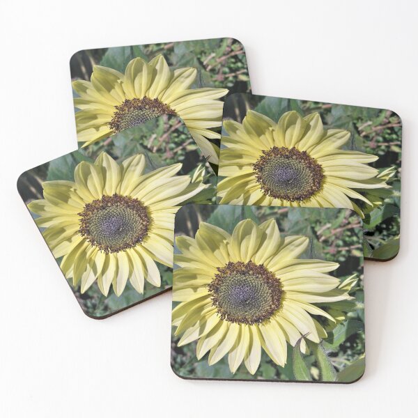 Item preview, Star of the Show designed and sold by CJGrimes.